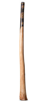 Jesse Lethbridge Didgeridoo (JL174)